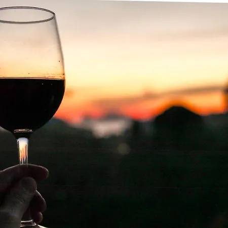 Gæstehus Camilla 4*