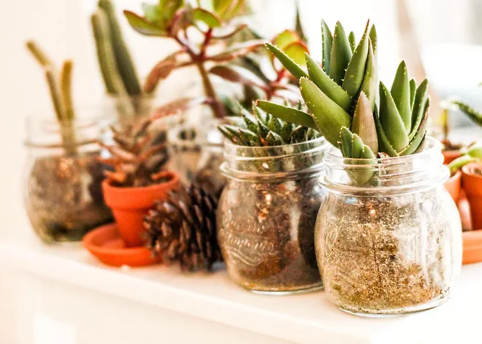 Gasthuis Camilla Alghero