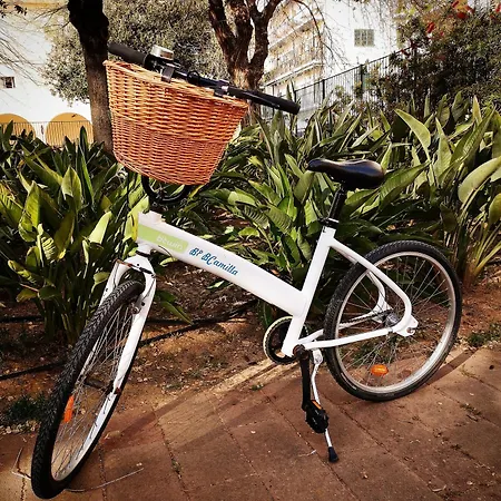 Camilla בית הארחה 4*