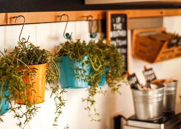 Camilla アルゲーロ