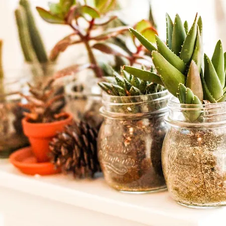 Casa de hóspedes Camilla Alghero